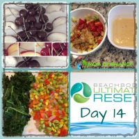 Ultimate Reset Day 14: The At the Two Week Mark