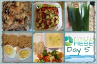 Ultimate Reset Day 5: The Low On Energy