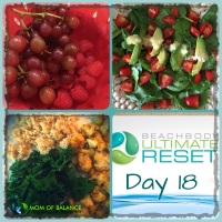 Ultimate Reset Day 18: The “You’ve Done Your Thing”