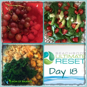 Ultimate_Reset_Day_18